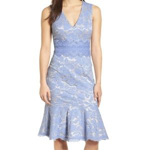 Blue Lace Vince Camuto Dress